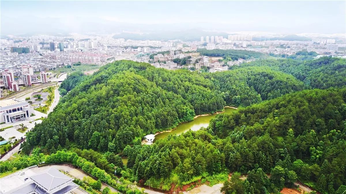 武平森林公园规划选址，自然美景的探索之旅启动