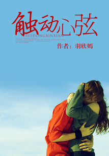 最新感人心弦作品，情感共鸣与艺术的完美融合