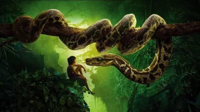奇幻森林配音演员指南，从新手到大师的步骤详解