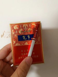 宽窄烟价格概览，市场走势与消费洞察分析