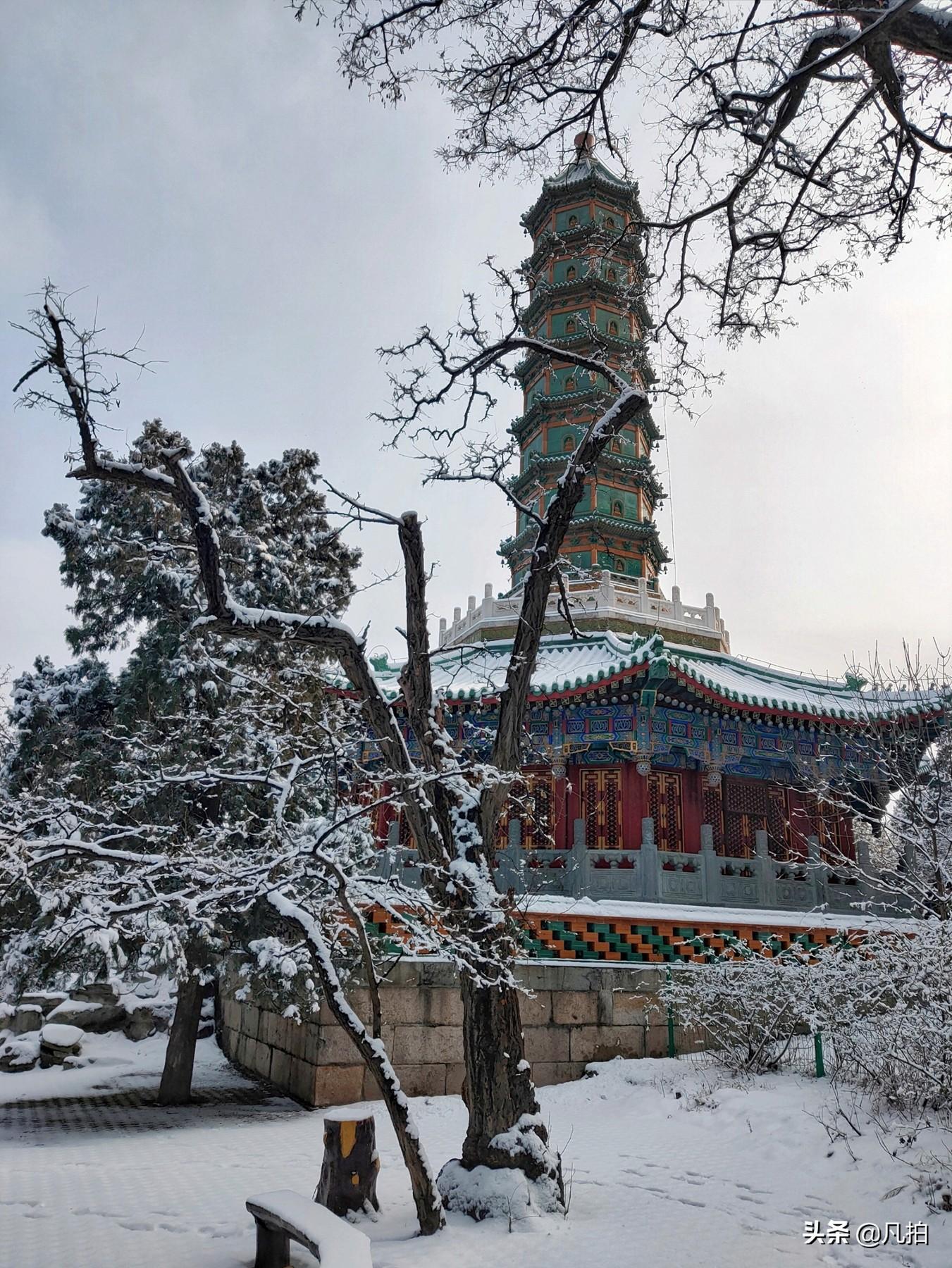 雪琉璃演员表，科技重塑视界新篇章