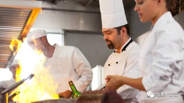 株洲厨师职位招聘启事,构建精英餐饮团队的关键一环