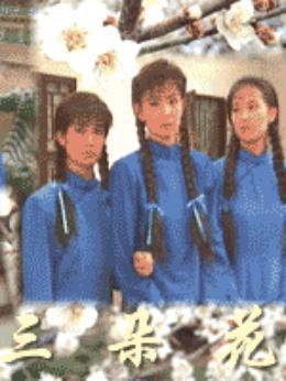 台湾电视剧三朵花，变化、学习与自信的力量之旅