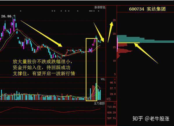 揭秘股市强者之道，股票龙头战法详解
