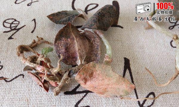 金线莲价格揭秘,深入了解金线莲的价值与市场价格参考