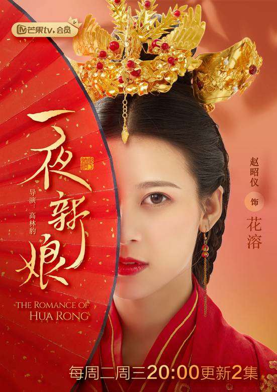 一夜夫人续集,多元视角的深度探讨