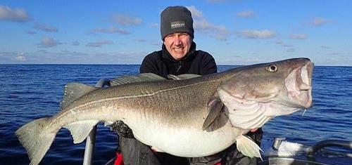 西钓网放鱼资讯速递,鱼的奇遇与真挚友情之旅