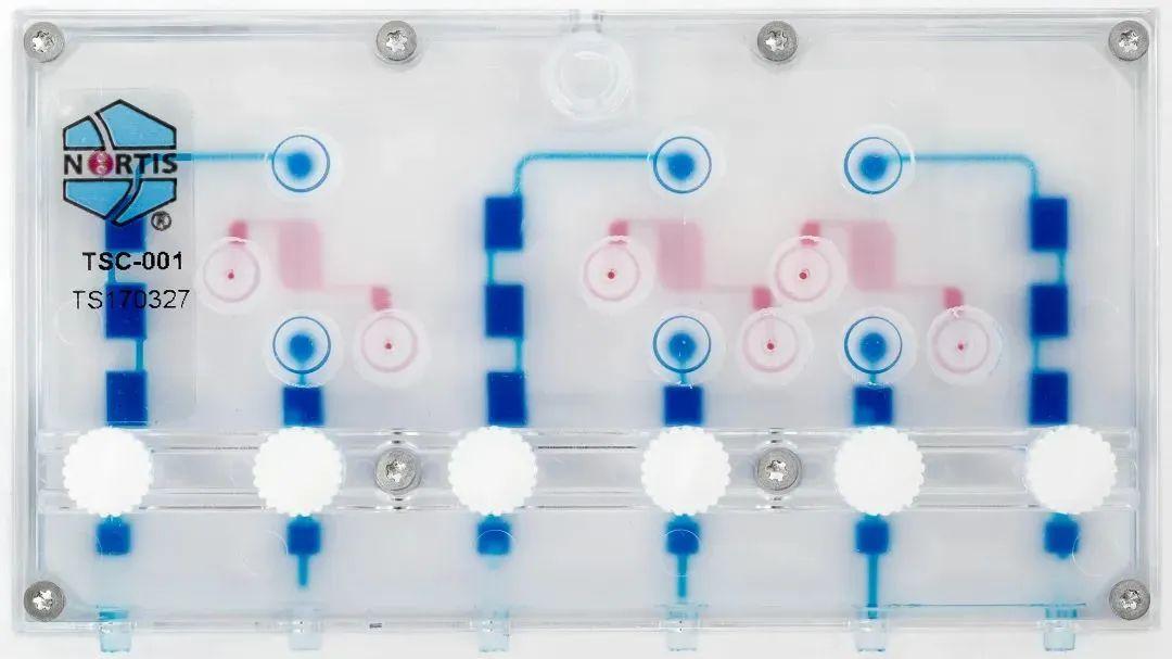芯片肾脏上市全面指南,步骤与时间表