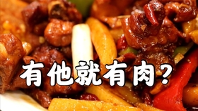 香香美食最新一期,美食之旅的新篇章探索