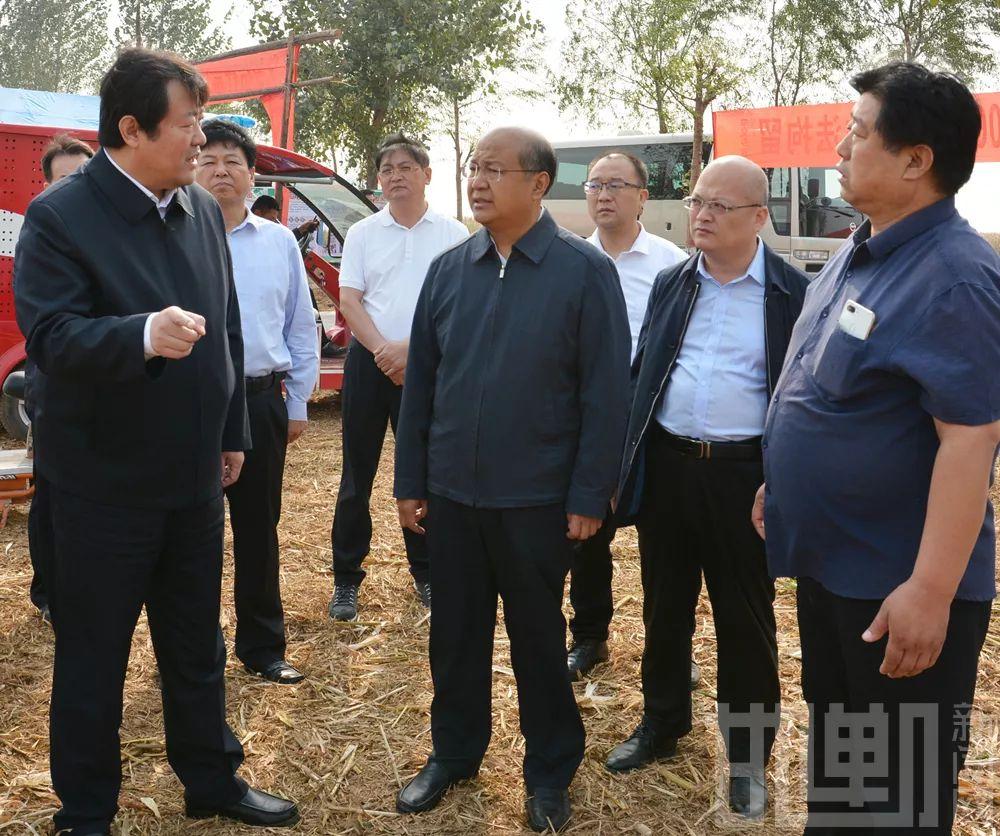 食品级二氧化碳价格探索,一场心灵与自然的美景之旅