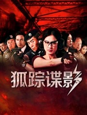 电影狐踪谍影,深度解析与探讨