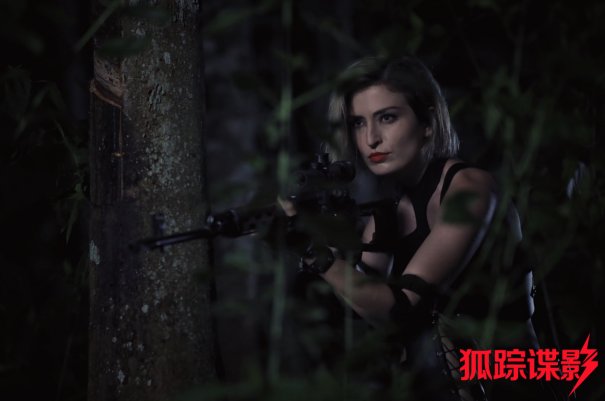 电影狐踪谍影,深度解析与探讨