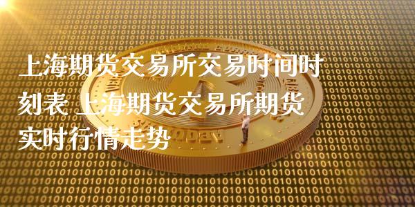 上海期货交易所实时行情深度解析与观点阐述