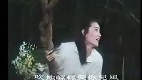 电影樱，视觉与情感的极致盛宴