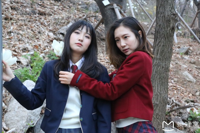 电影樱,视觉与情感的极致盛宴