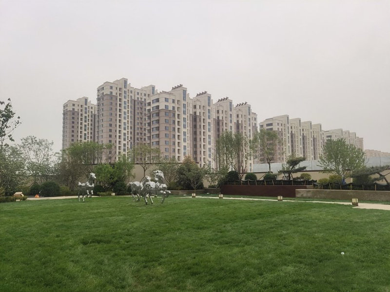 皓月城最新动态,温馨日常的趣事