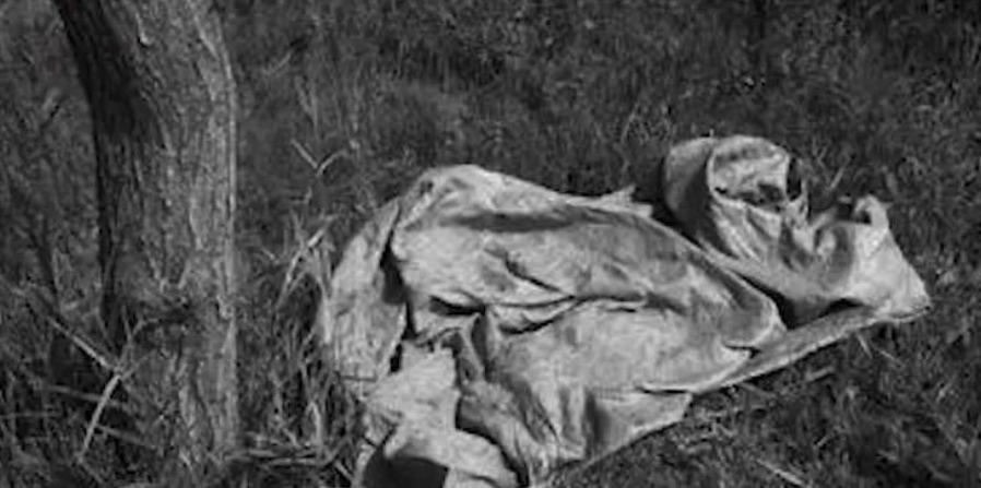 小镇上的爱与陪伴背后的杀人碎尸案谜团揭秘