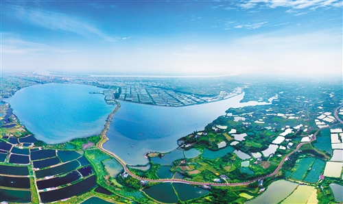 最新金湖资讯概览