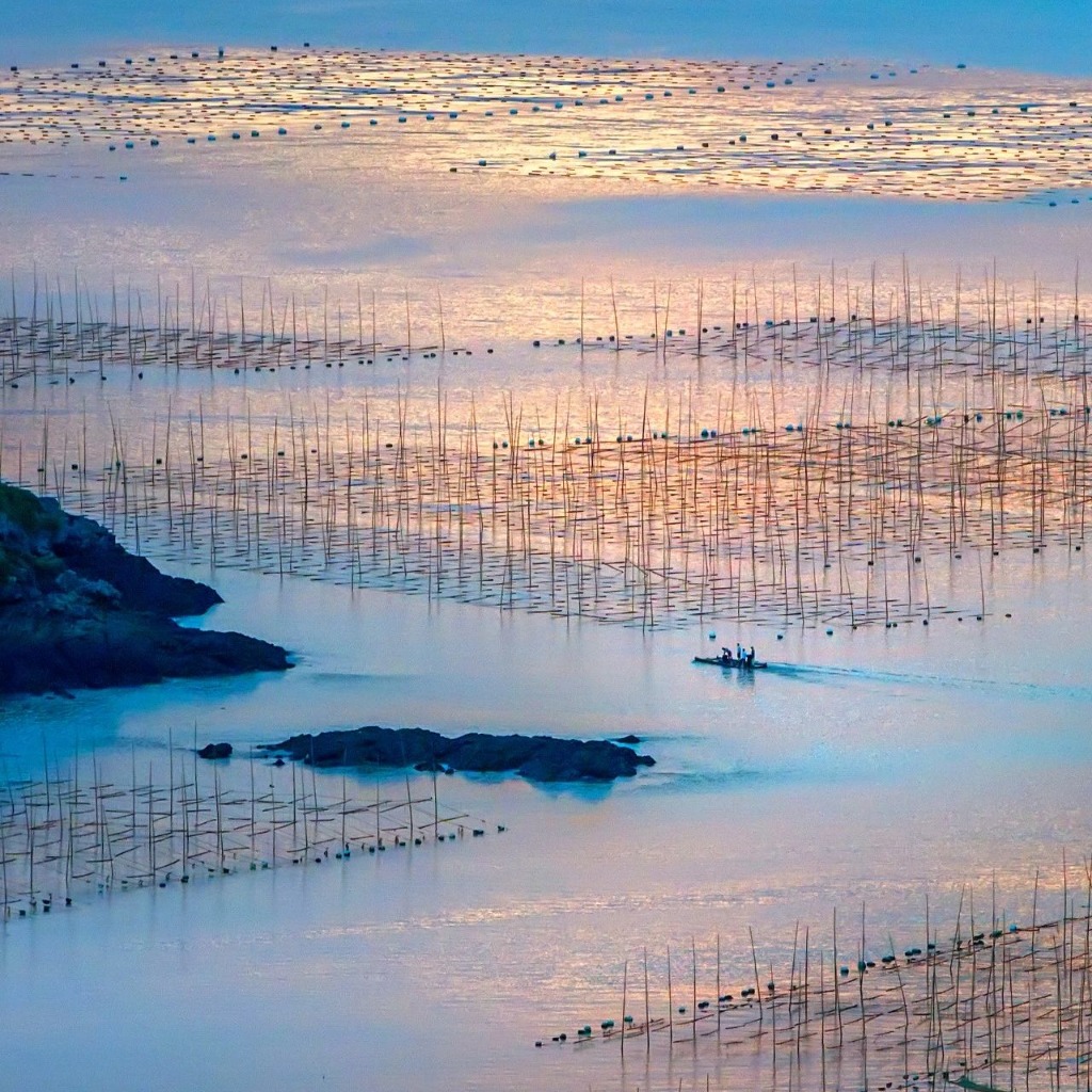 今日霞浦最新资讯及观点论述汇总