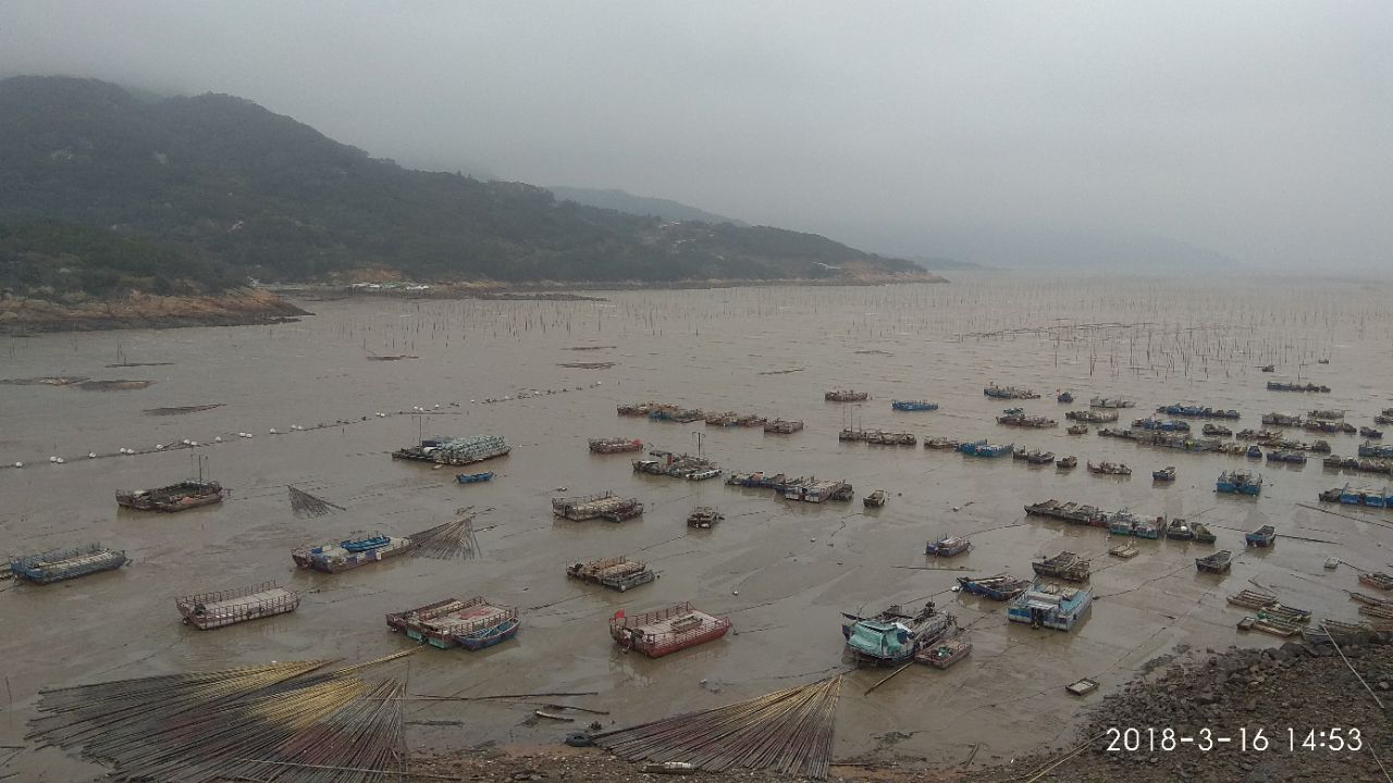 今日霞浦最新资讯及观点论述汇总