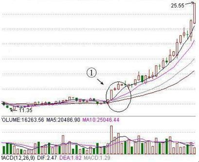 买什么股票最安全,买什么股票最安全