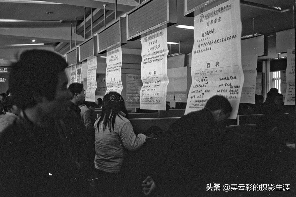 洛阳最新招聘资讯深度解析与论述