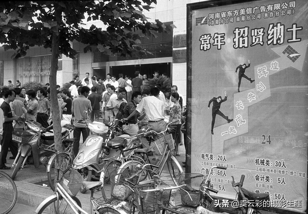 洛阳最新招聘资讯深度解析与论述