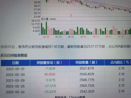 普洛药业股票最新动态,行业趋势、公司表现及市场展望展望分析