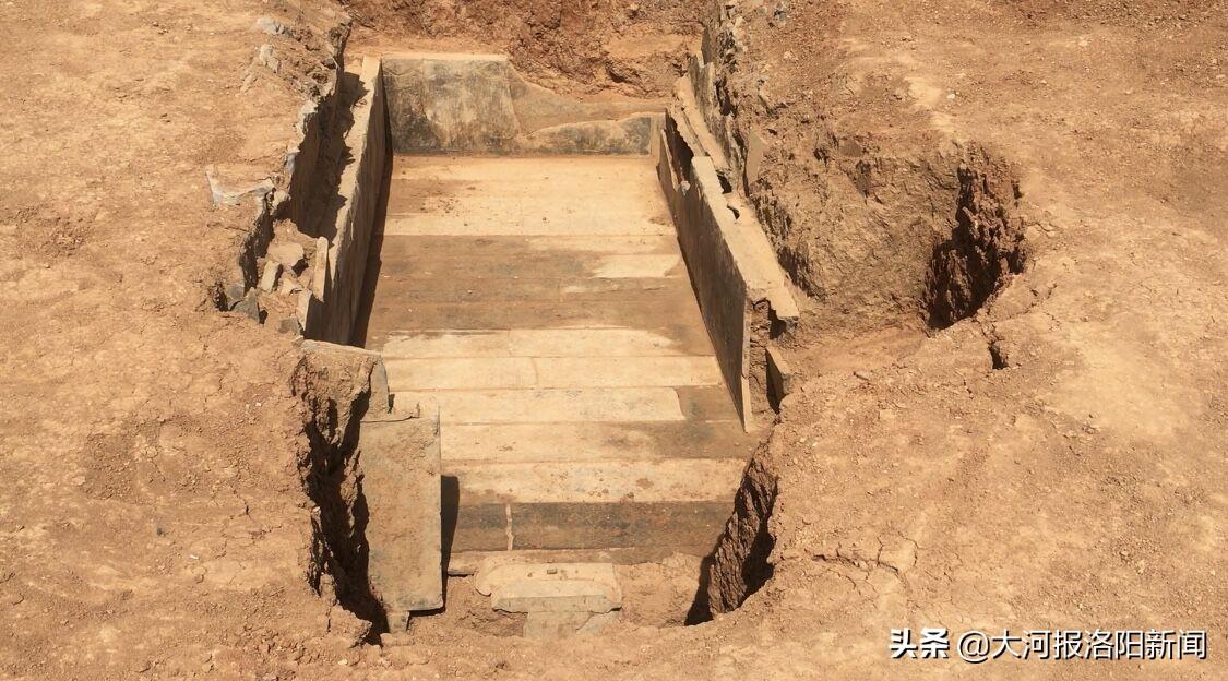 女院长身边的神秘医生最新动态与小巷特色小店探秘揭秘