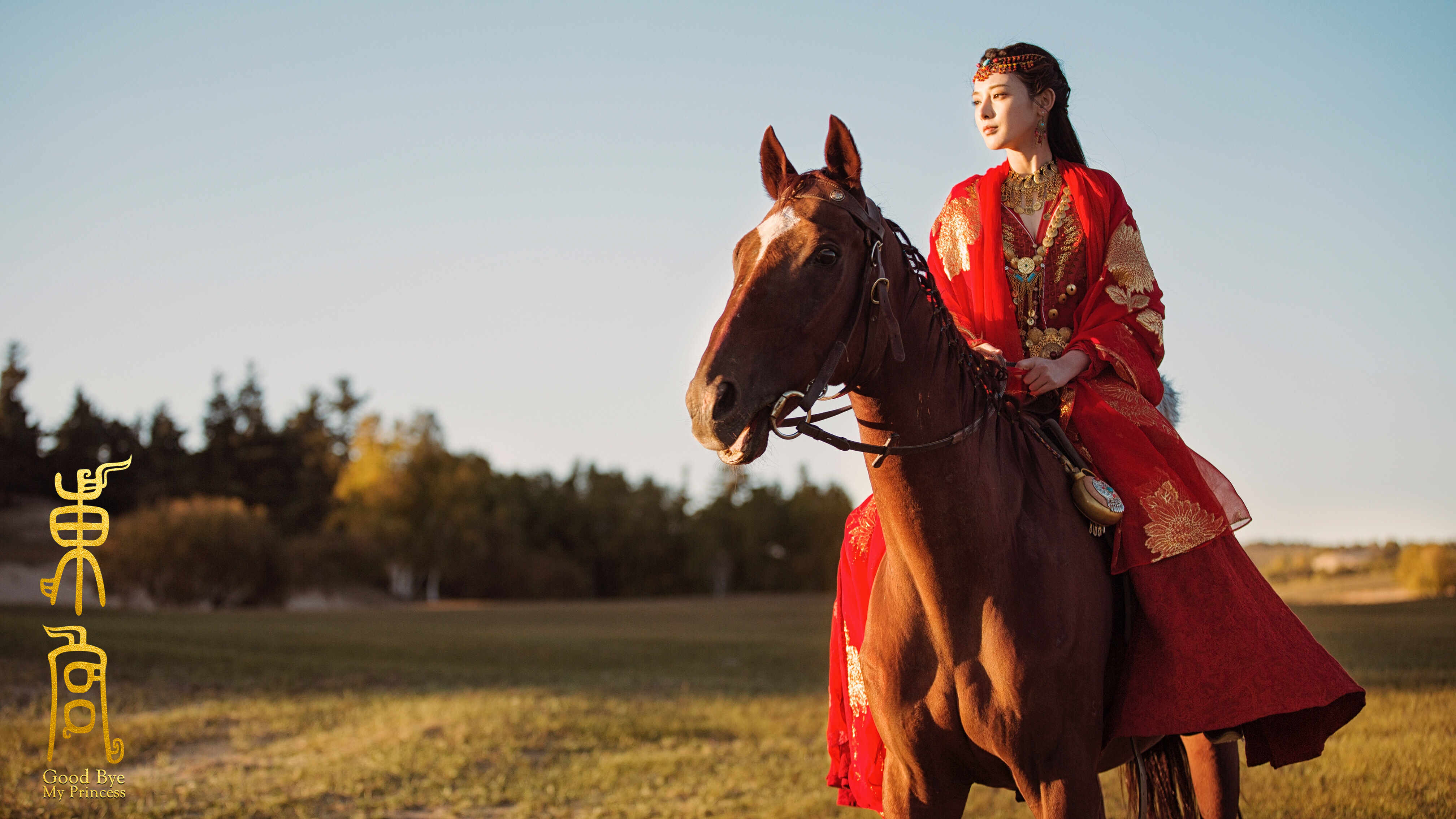 东宫电视剧免费观看全集,科技盛宴下的生活新纪元