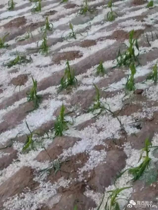 甘肃陇南冰雹现象,探索自然美景的旅途中的意外遭遇