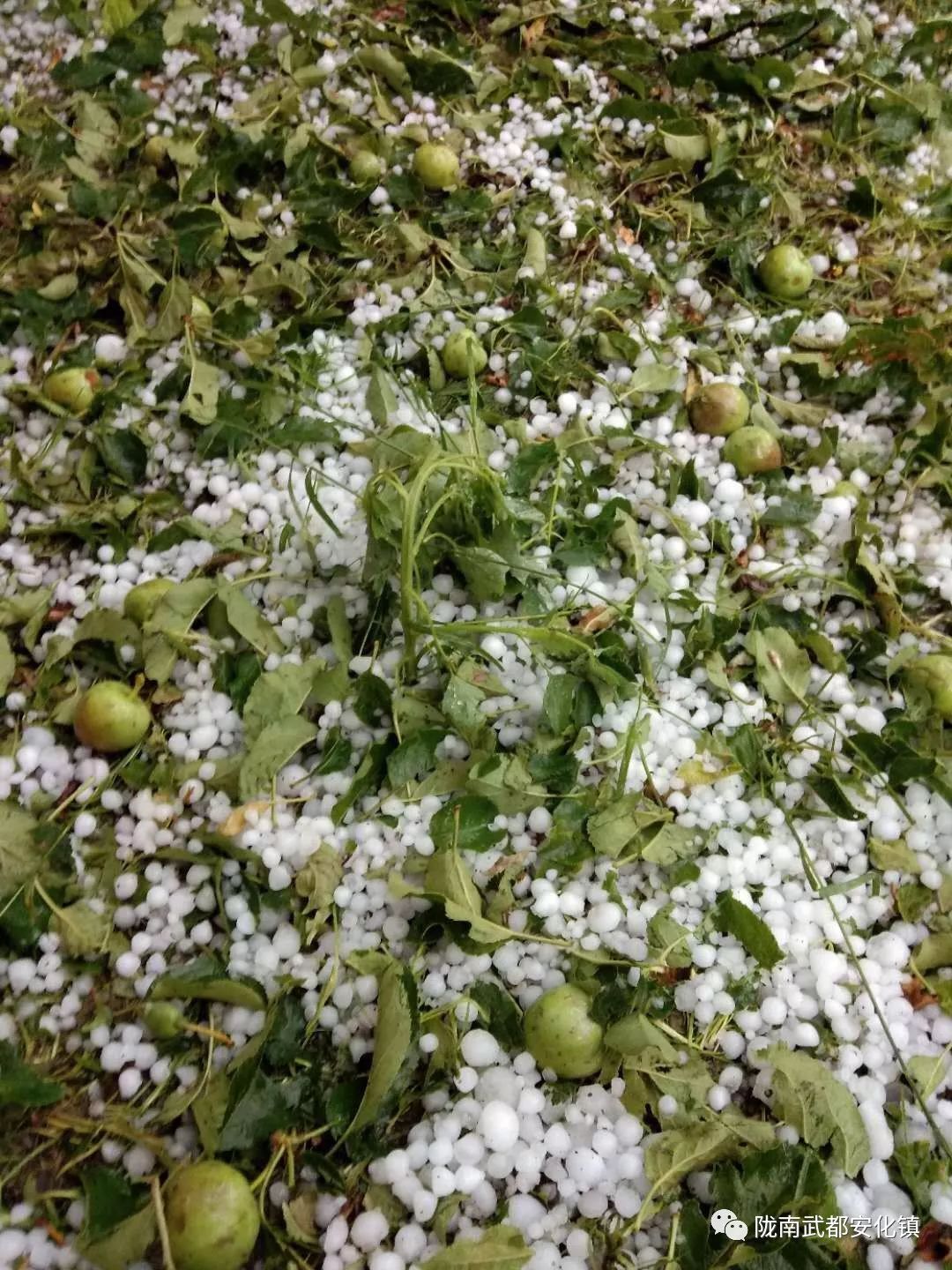 甘肃陇南冰雹现象,探索自然美景的旅途中的意外遭遇