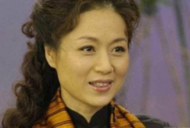 李红演员，演艺之路的闪耀之星