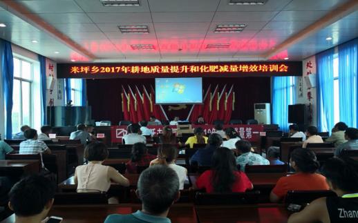 金正大肥料价格揭秘,背后的故事与影响因素分析