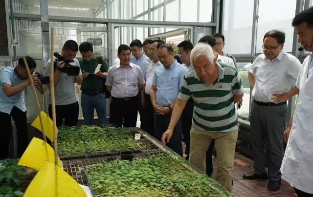 金正大肥料价格揭秘,背后的故事与影响因素分析