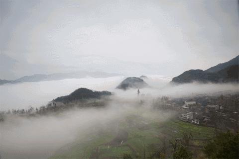 第1298页