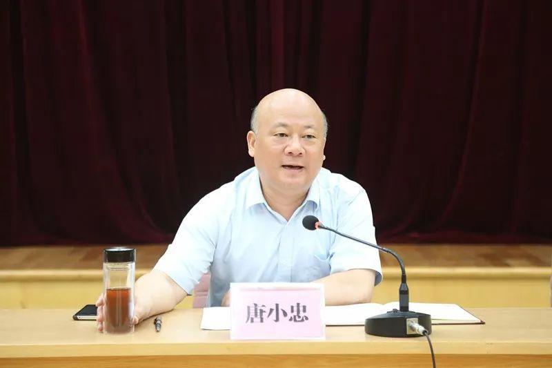选调生最新资讯，青春奋斗，蜕变之路的见证