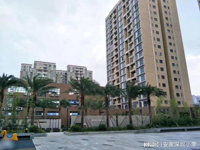 新田最新租房信息全面概览