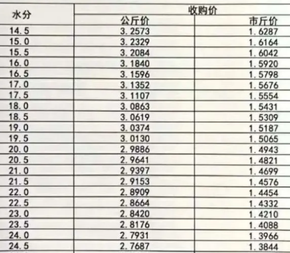 今日稻谷价格行情更新报告，最新价格及市场走势分析