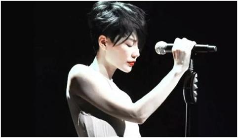 王菲成为一级演员的秘诀，探究其背后的原因与实力