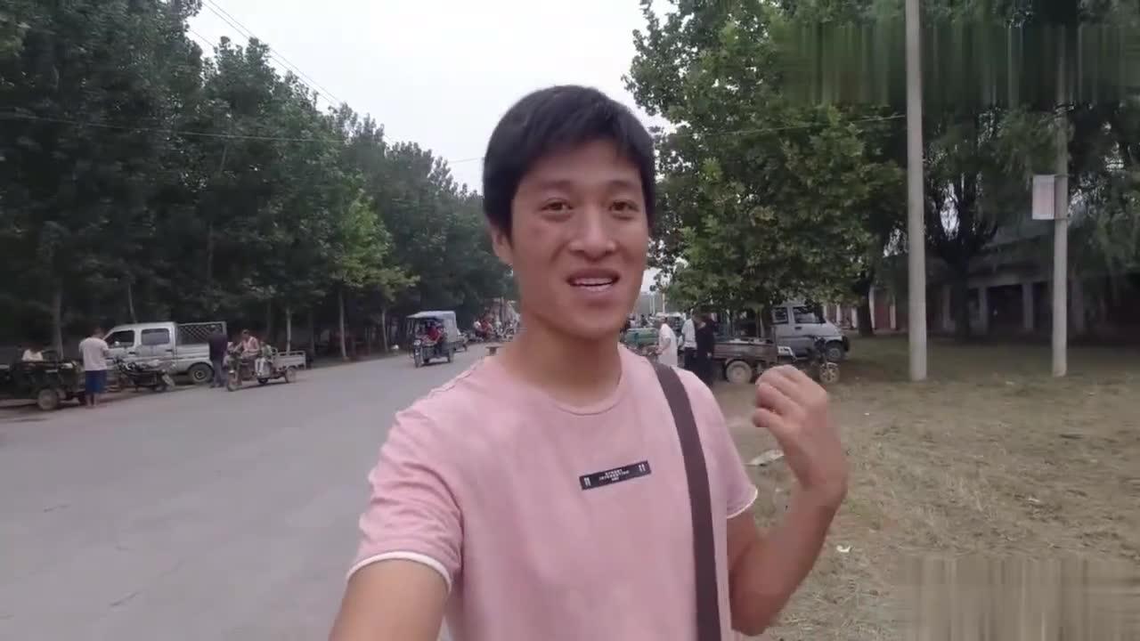 潮州土狗交易最新动态，深度解析与观点论述