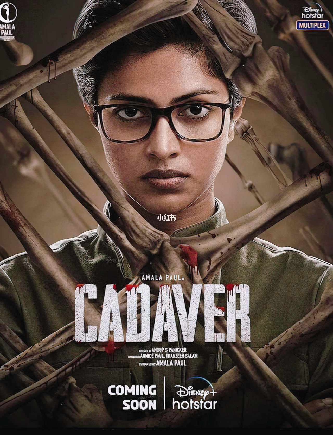 印度最新力作,科技与文化的融合之美探索