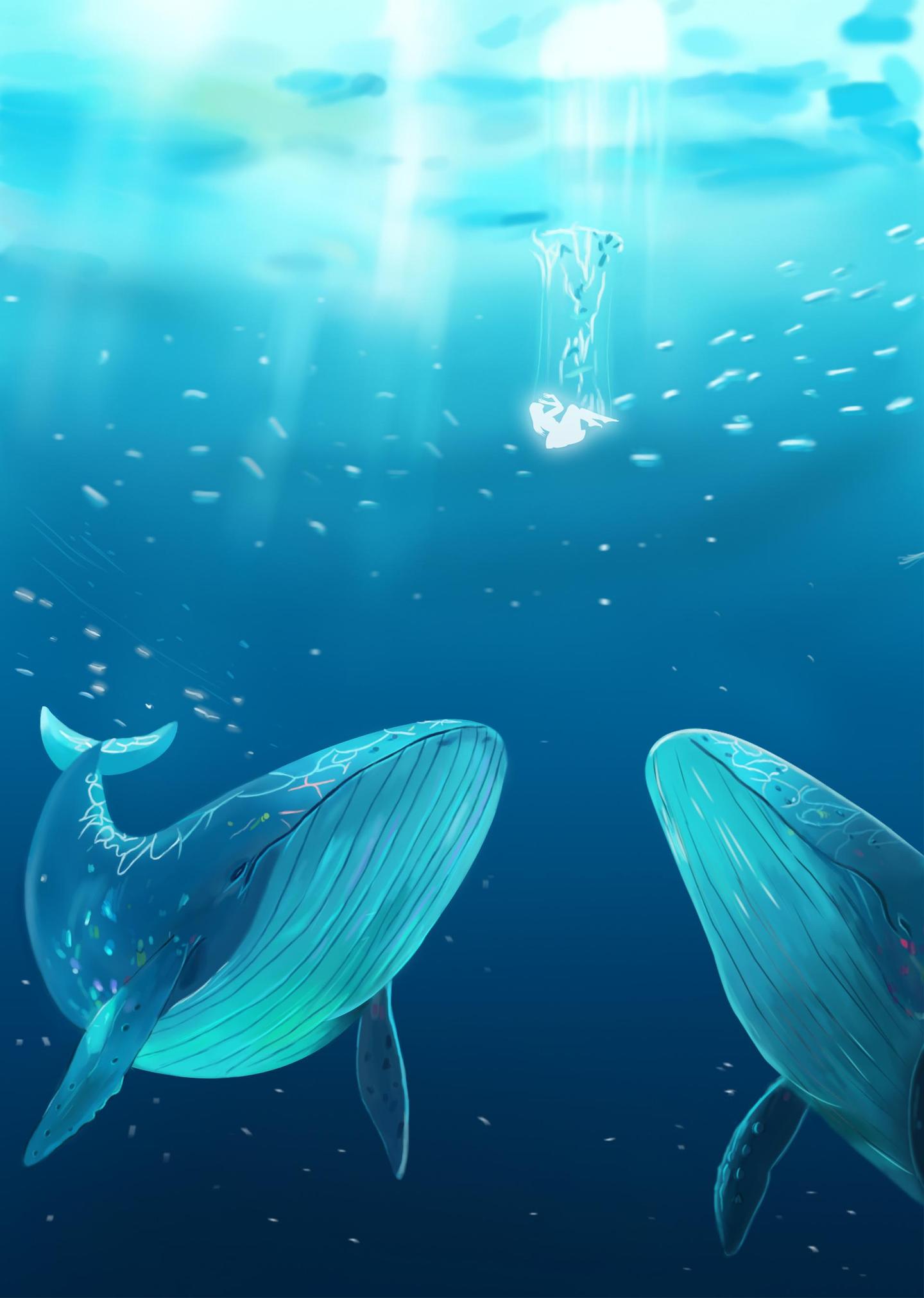 梦鲸新版深度解析,优劣探讨与个人观点分享