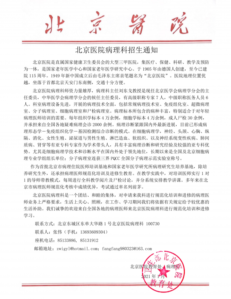 北京最新病理，一段温馨的日常故事