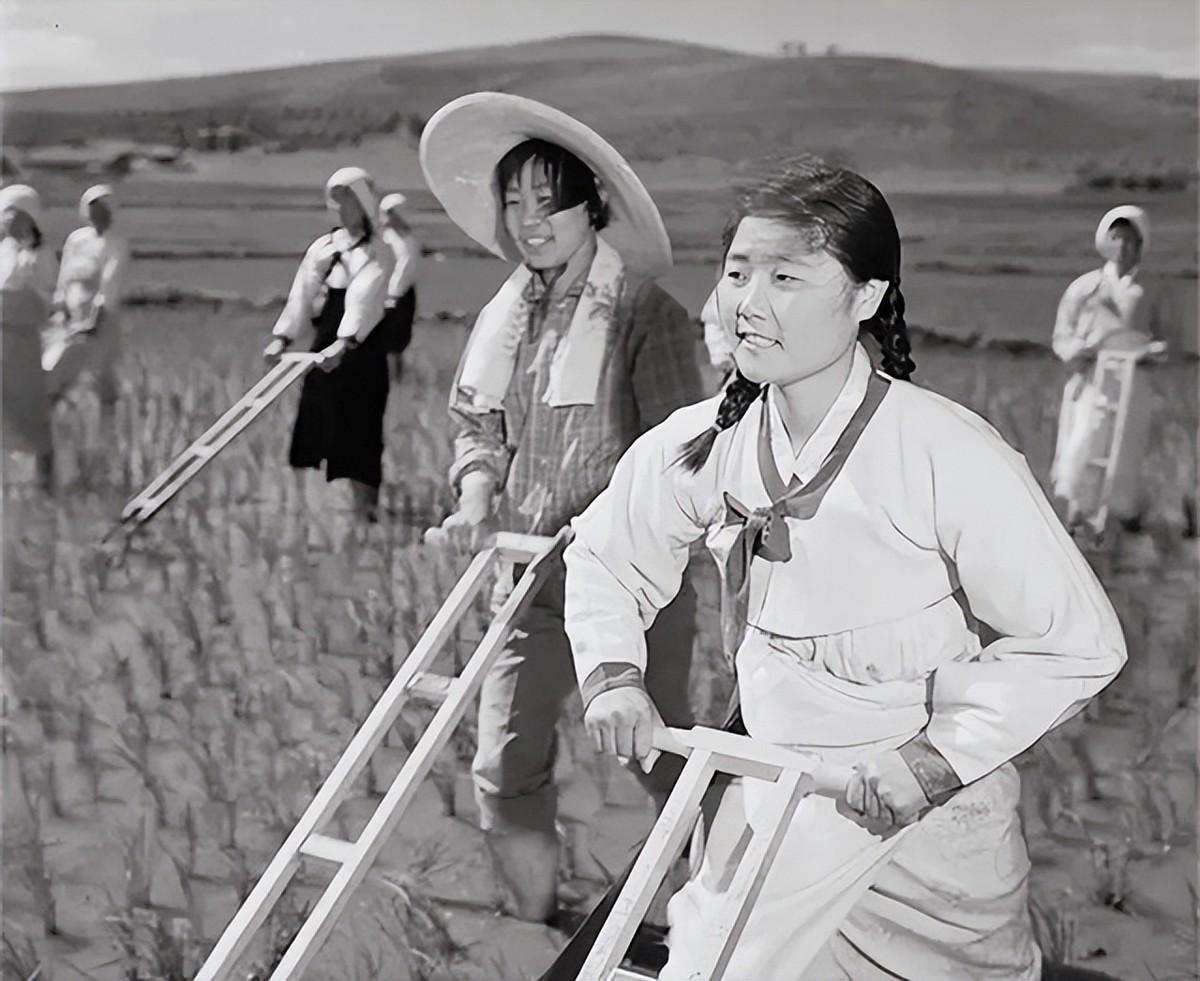 知青家庭,心灵与自然的成长之旅电视剧剧情介绍