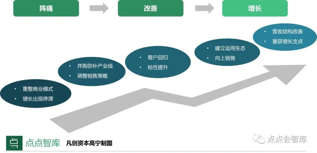 SAP成功上市,策略解析与前景展望