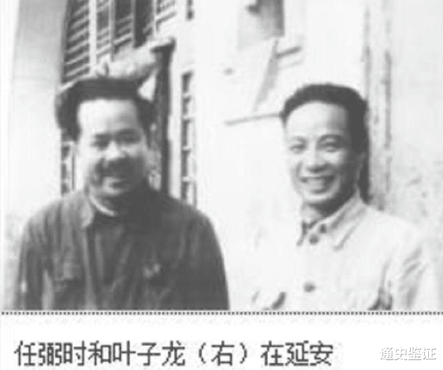 演员叶子龙,舞台到荧屏的蜕变之路——自信与成就闪耀之路