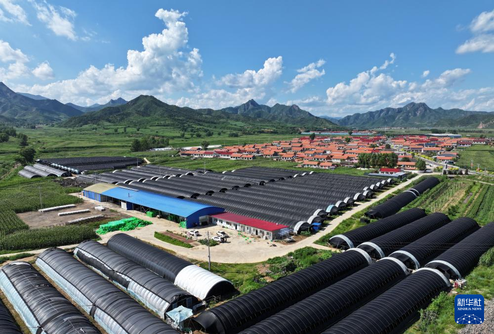 隆化公路规划详解,初学者与进阶用户的步骤指南