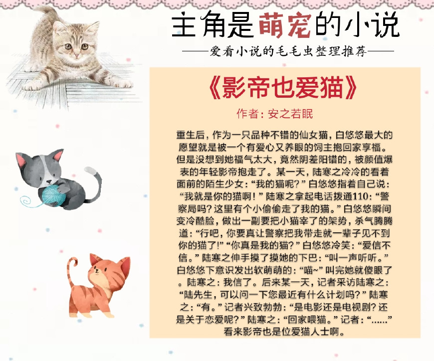 最新宠物小说与小巷深处的特色宠物小店探秘