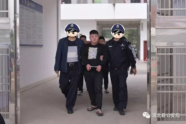 最新在逃嫌疑人深度解析与观点阐述